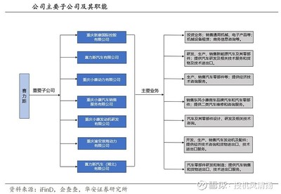 重塑豪车标杆-赛力斯(公司股权结构)